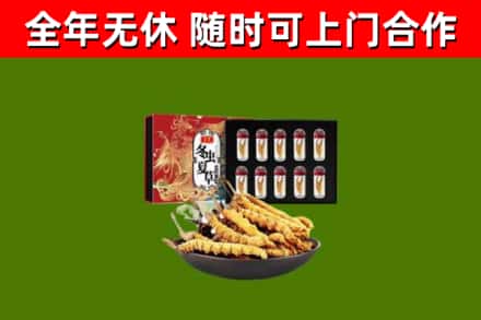 安福县回收冬虫夏草价格